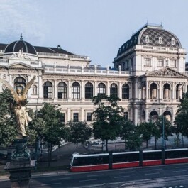 THE PATIENT AS AN AGENT OF CHANGE